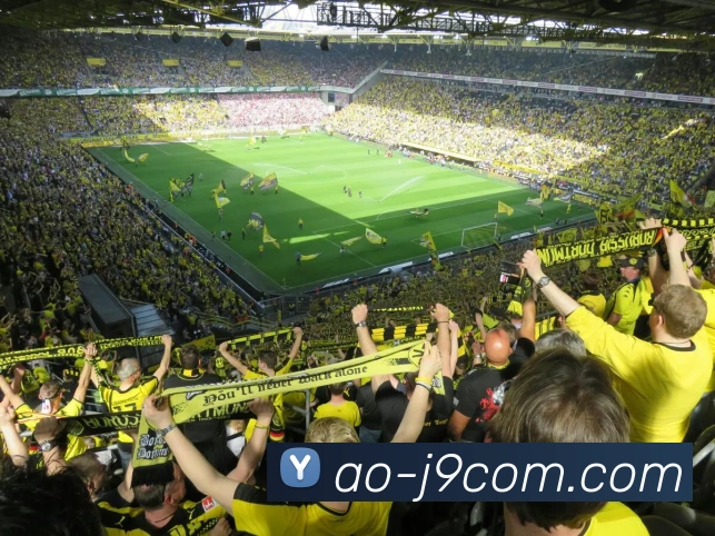 多媒体互动体验